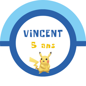 Box décoration anniversaire pokemon bleu Saint Laurent du Var, Nice, Cagnes sur Mer, Villeneuve, Vence, Antibes, Biot, Saint Jeannet, La Gaude, Colomars, La Colle sur Loup, Alpes Maritimes, Var, PACA, France