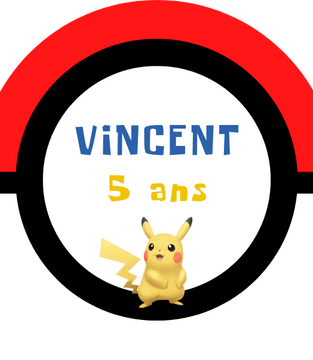 Box décoration anniversaire Pokemon Saint Laurent du Var, Nice, Cagnes sur Mer, Villeneuve, Vence, Antibes, Biot, Saint Jeannet, La Gaude, Colomars, La Colle sur Loup, Alpes Maritimes, Var, PACA, France