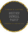 Box décoration gender reveal Saint Laurent du Var, Nice, Cagnes sur Mer, Villeneuve, Vence, Antibes, Biot, Saint Jeannet, La Gaude, Colomars, La Colle sur Loup, Alpes Maritimes, Var, PACA, France