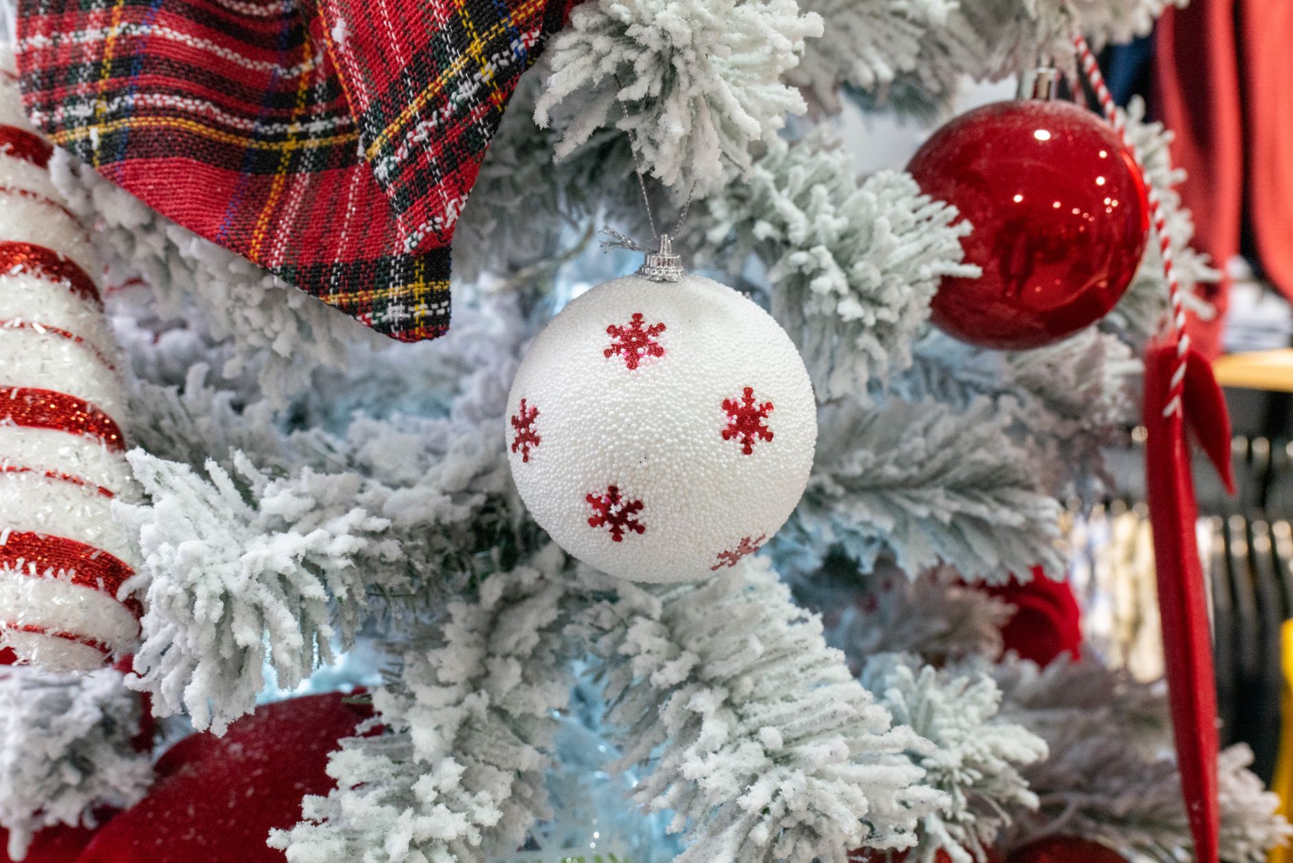 Ornements rouges et blancs sur les branches d’un sapin