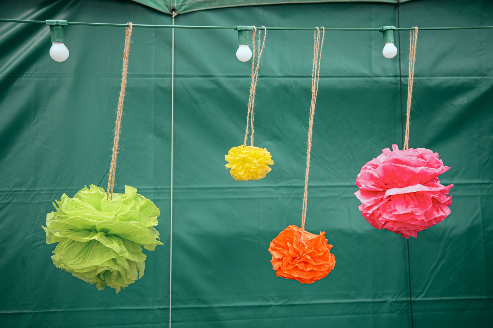 Pompons en papier coloré suspendus devant un fond vert