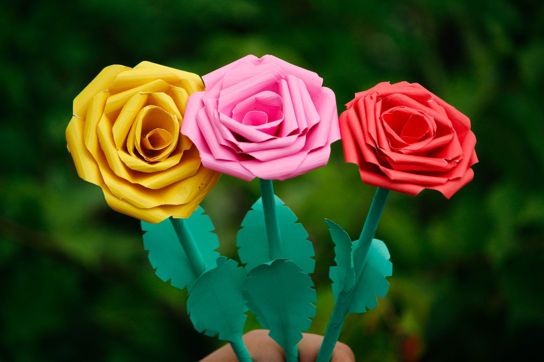 Roses en papier de couleurs vives